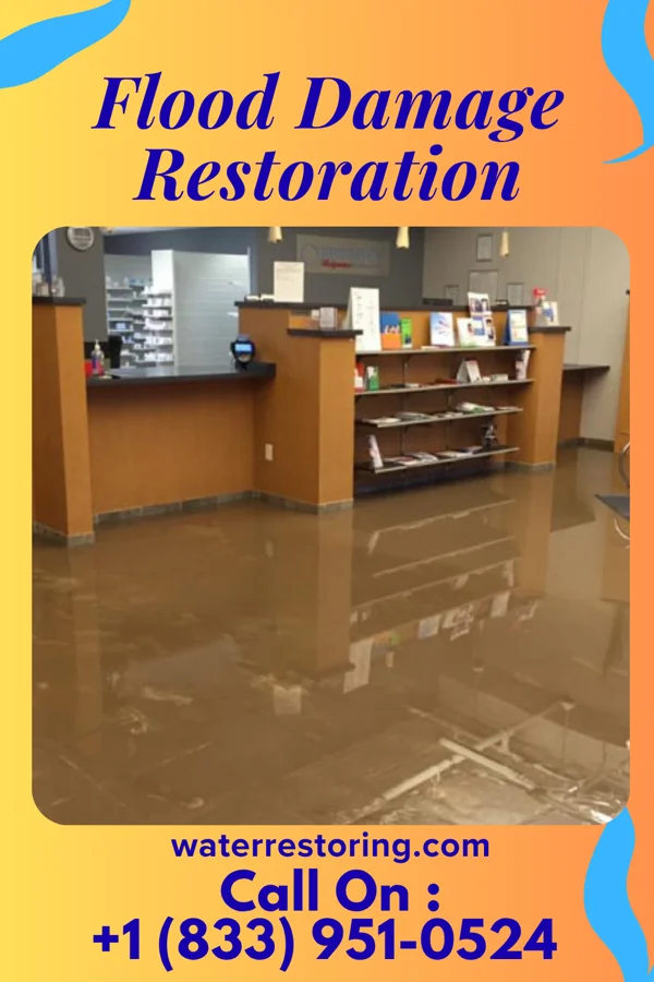 Flood Damage Restoration in Casco, WI