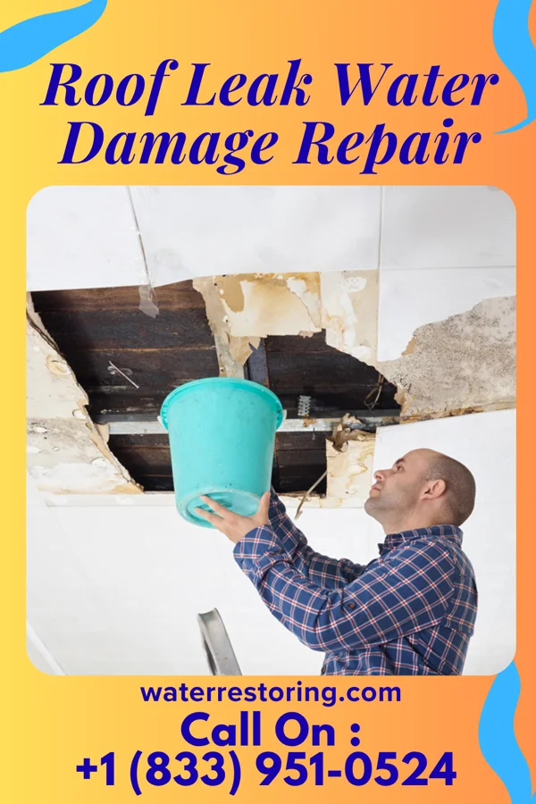 Roof Leak Water Damage Repair in Casco, WI