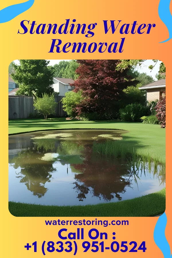 Standing Water Removal in Casco, WI